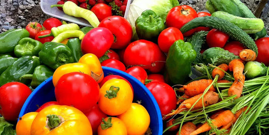 10 Easy-to-Grow Plants for Greenhouse Beginners