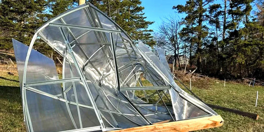 Are Galvanized Steel Greenhouses a Good Choice? Potential Disadvantages Revealed
