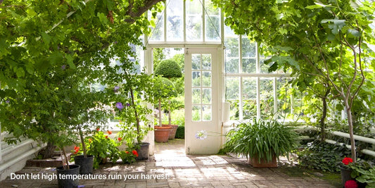 How to Protect Greenhouse Plants from Overheating in Summer