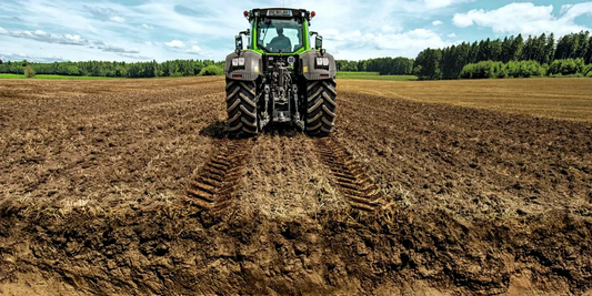Simple & Fast Ways to Improve Garden Soil