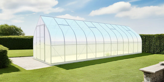 How to choose the best greenhouse size for your garden