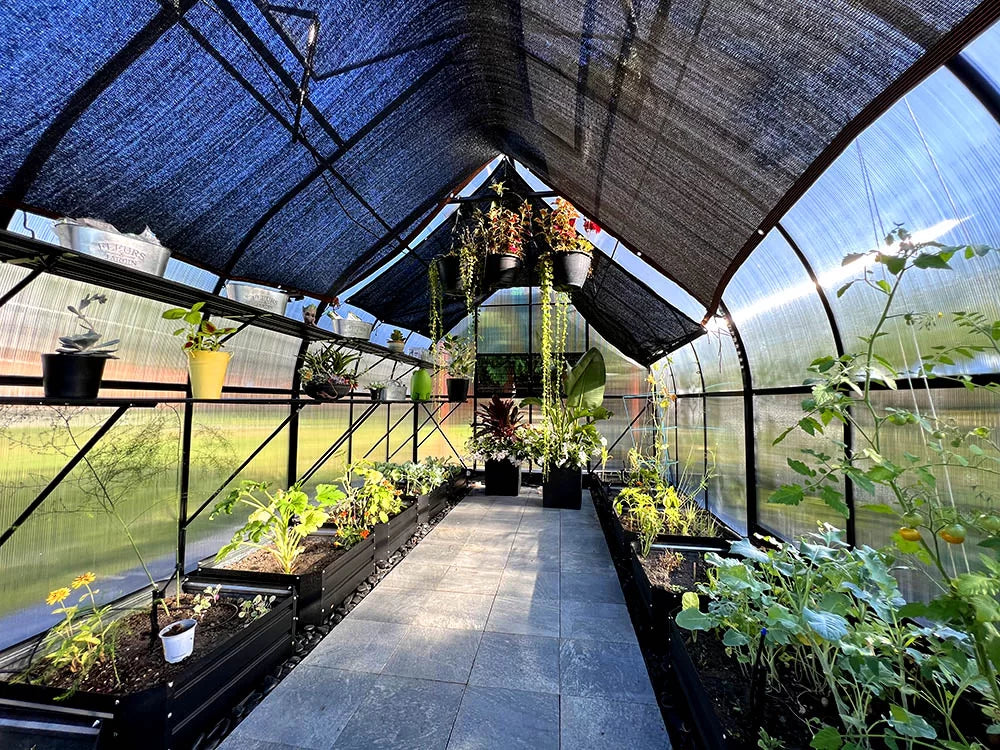 Shade Cloth 10×6 Black Knitted Net for Gardening and Greenhouse 50% Shading Rate