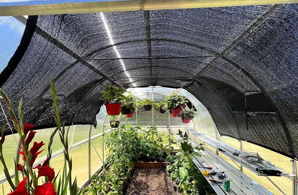 Shade Cloth 10×6 Black Knitted Net for Gardening and Greenhouse 50% Shading Rate