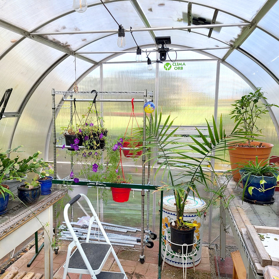 ClimaOrb Arched 9x21 Greenhouse inside with flower pots