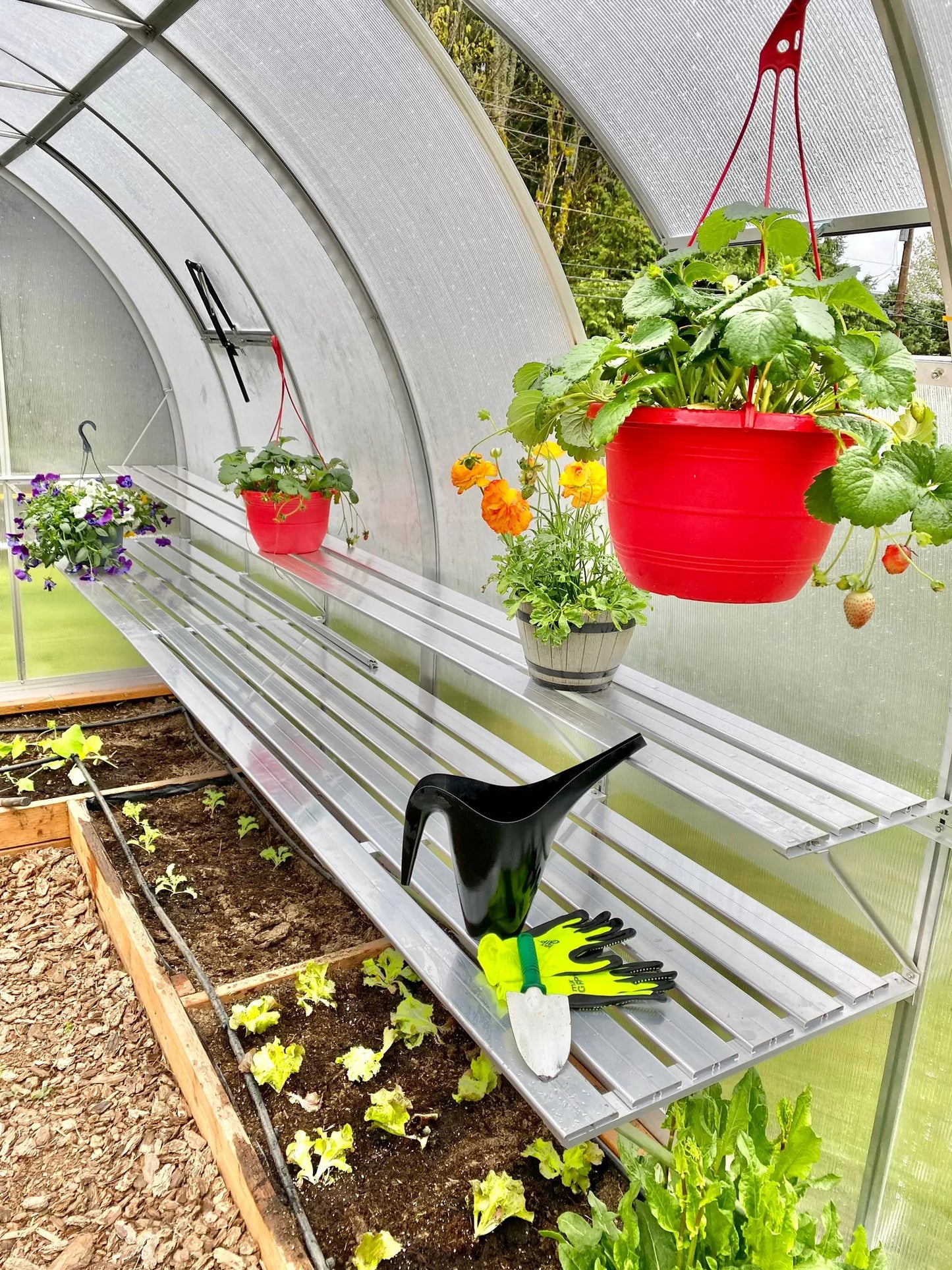 Two-tier aluminum Greenhouse Shelving 7′, 12′, 14′