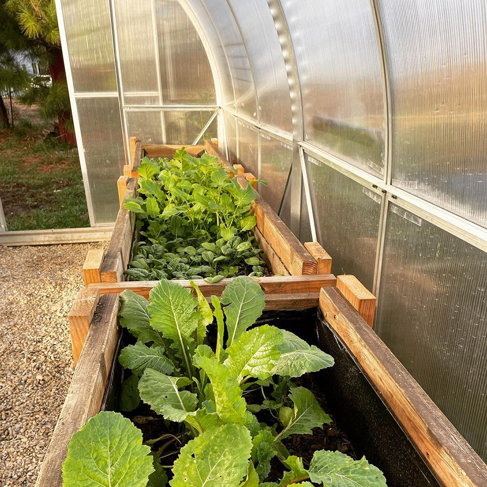 ClimaPod Passion 9x14 greenhouse inside beds view