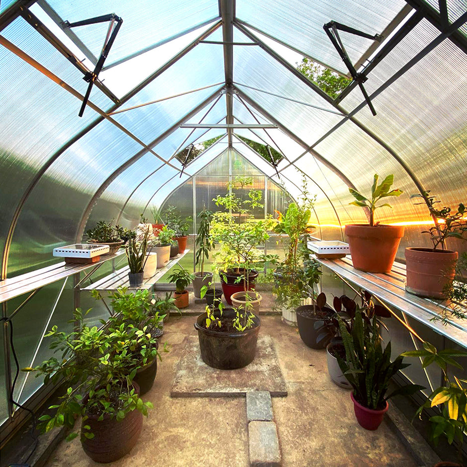 ClimaPod Virtue 9x14 Greenhouse with shelving inside view