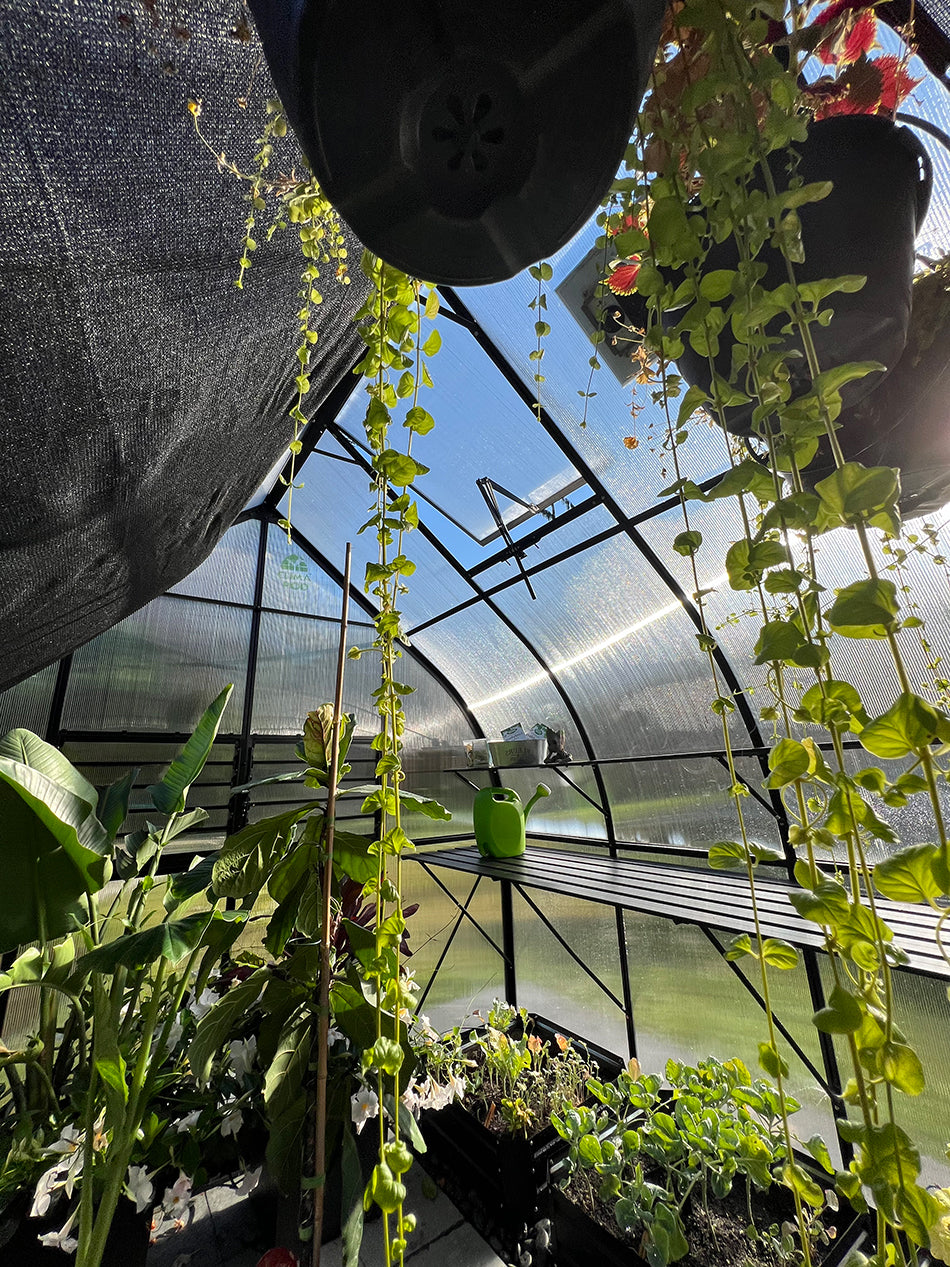 ClimaPod Virtue Black 9x14 Greenhouse with Hinged Doors inside view