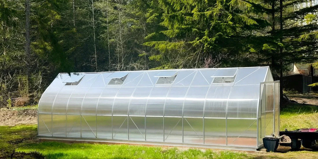 10 Big Benefits of Polycarbonate Greenhouses