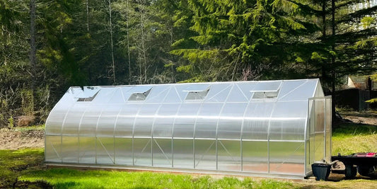 10 Big Benefits of Polycarbonate Greenhouses