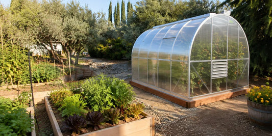Choosing the Right Greenhouse Size