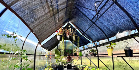 Shade cloth – an effective and safe way to shade your greenhouse