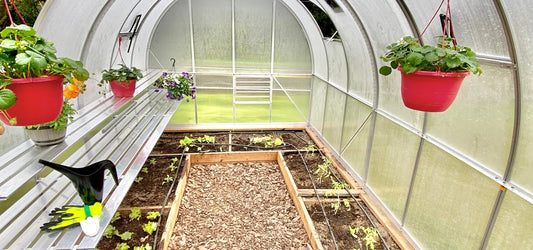 Greenhouse in Summer