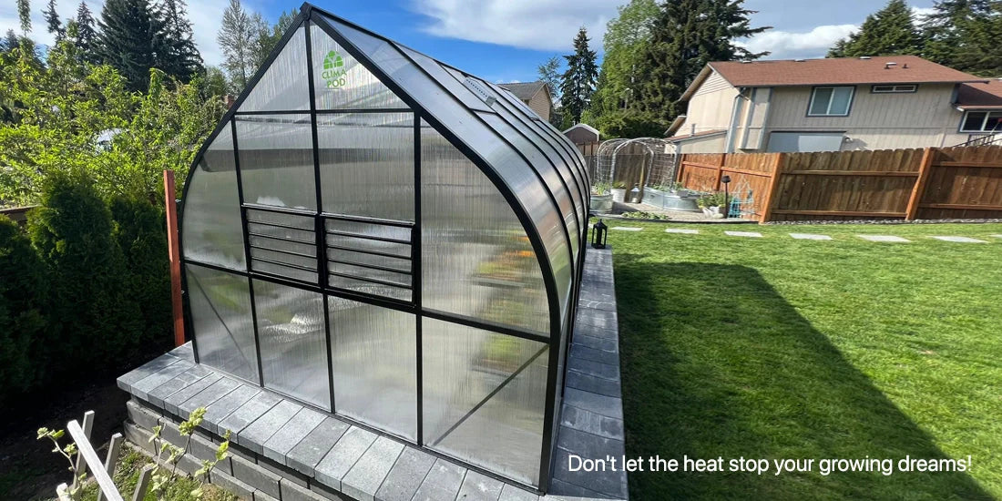 Greenhouse in summer: everything you need to know about its use