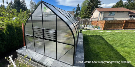 Greenhouse in summer: everything you need to know about its use