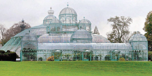 The History of Greenhouses