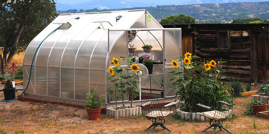 How To Grow Your Own Food In A Backyard Greenhouse
