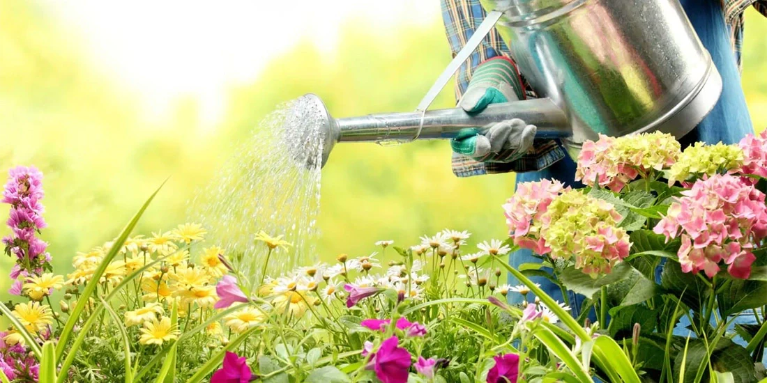 July Garden Tips and Vegetable Patch Checklist