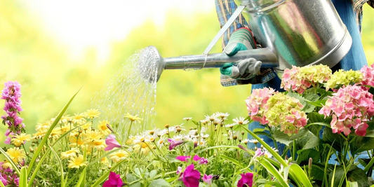 July Garden Tips and Vegetable Patch Checklist