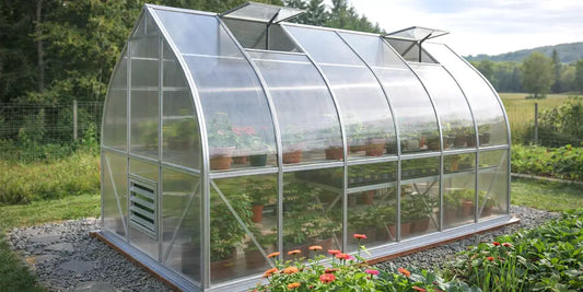 Polycarbonate Greenhouse Guide: 5 Common Mistakes and How to Avoid Them