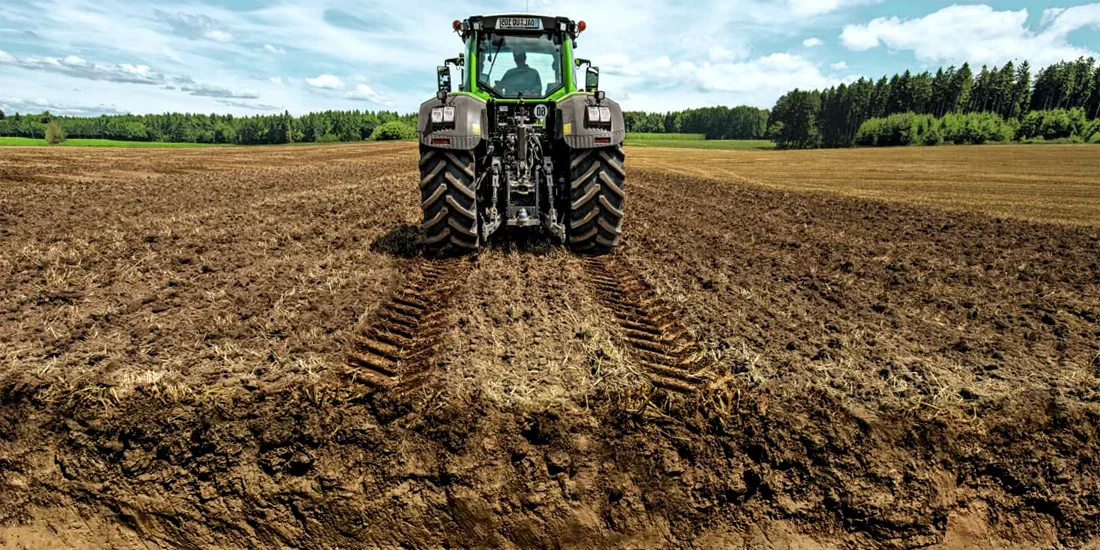 Simple & Fast Ways to Improve Garden Soil