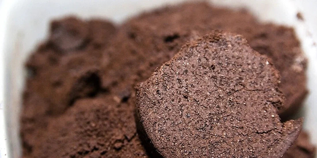 The Use of Organic Fertilizers in Greenhouses: Coffee Grounds