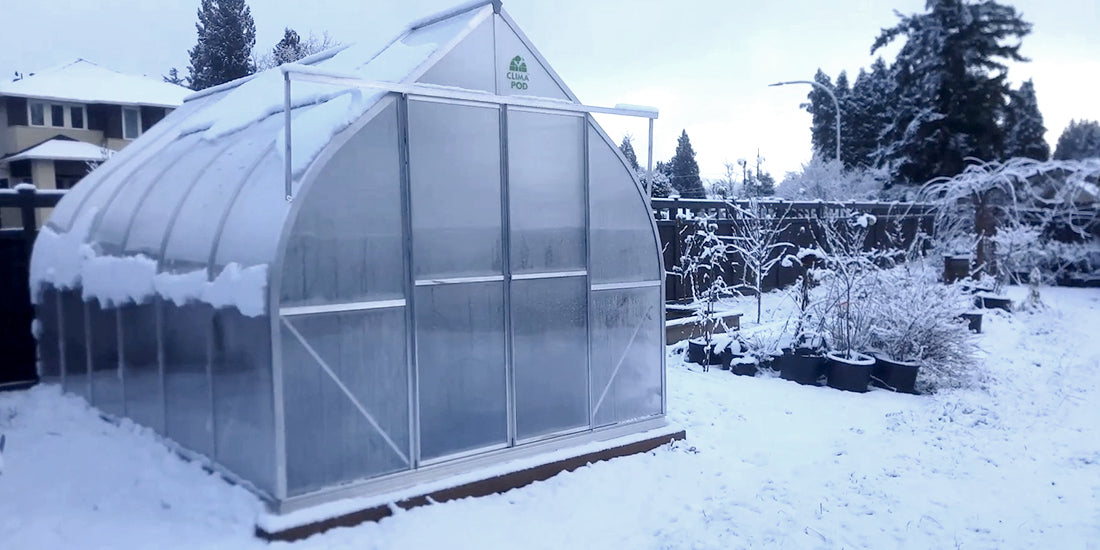 Winter Polycarbonate Greenhouse with Heating