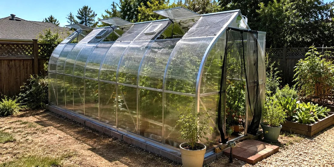 backyard polycarbonate greenhouse on a bright midsummer afternoon