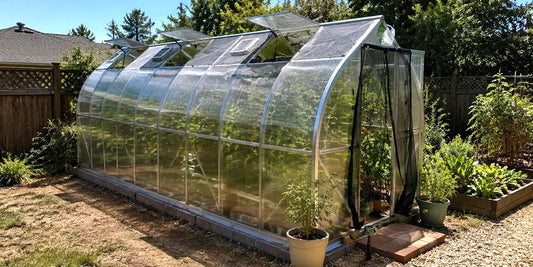backyard polycarbonate greenhouse on a bright midsummer afternoon