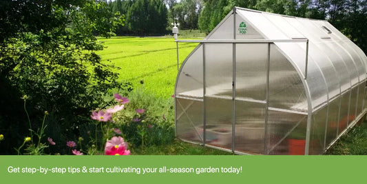 A Beginner’s Guide to Hobby Greenhouses – How to Set Up a Greenhouse