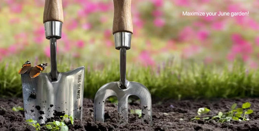 June Garden Checklist: Essential Tasks for a Thriving Summer Harvest