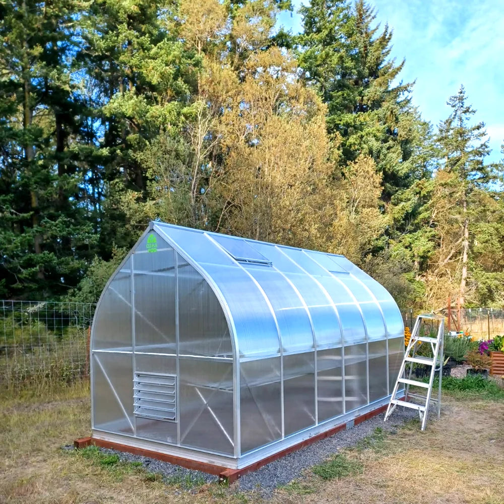 Clear 7x14 greenhouse with a ladder in a garden setting